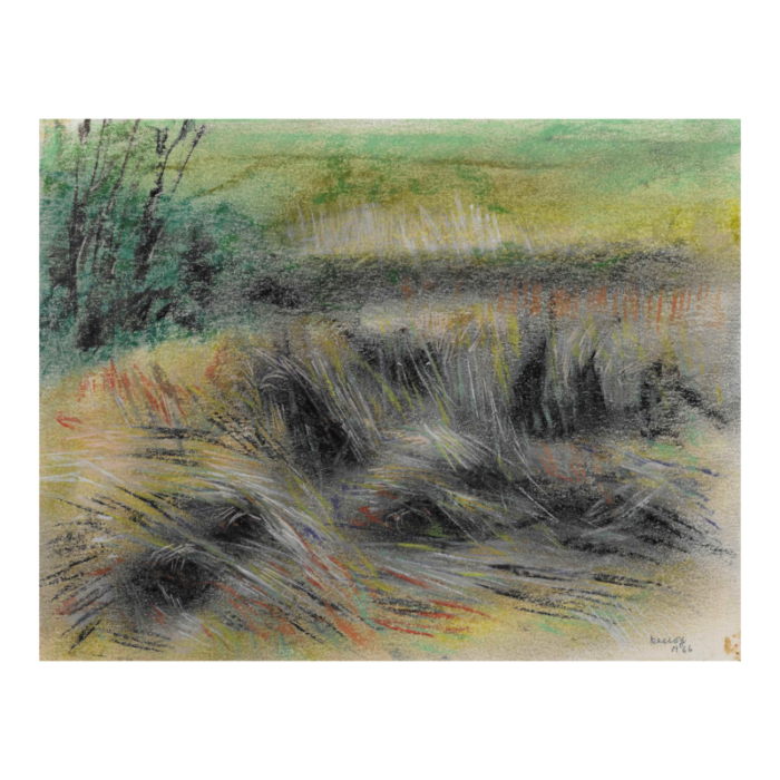 1966 bernard kassoy pond grasses landscape oil pastel 4045