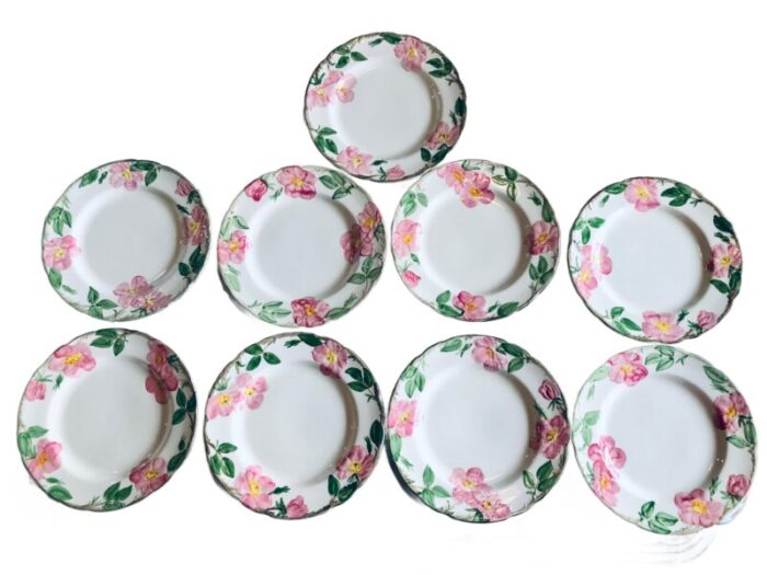 1970s franciscan china desert rose pattern plates set of 9 5490