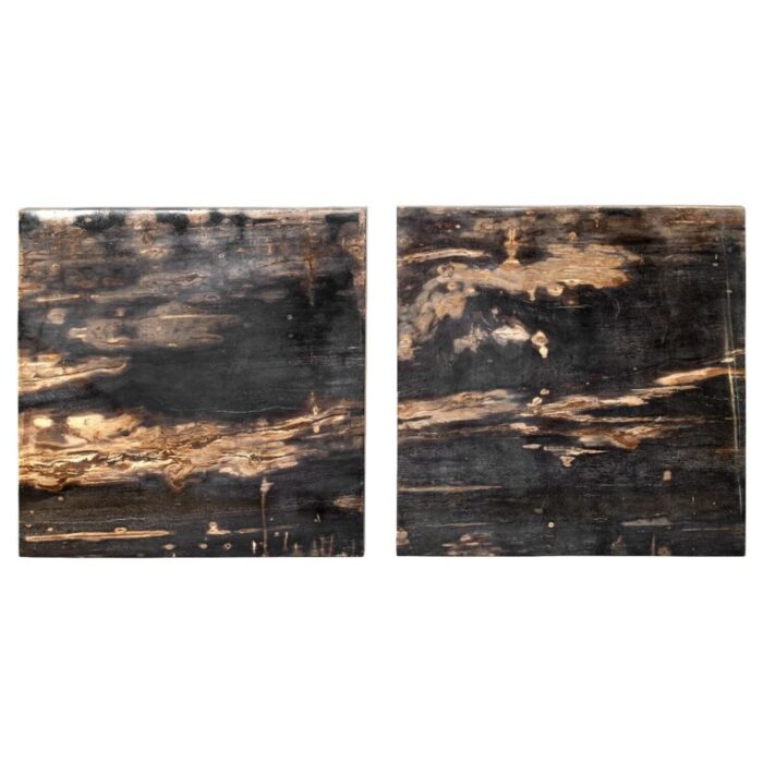 Petrified Wood End Tables 2d master