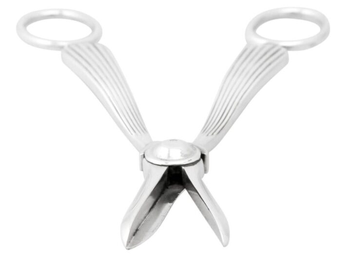 a4565e Grape Shears Sterling Silver master