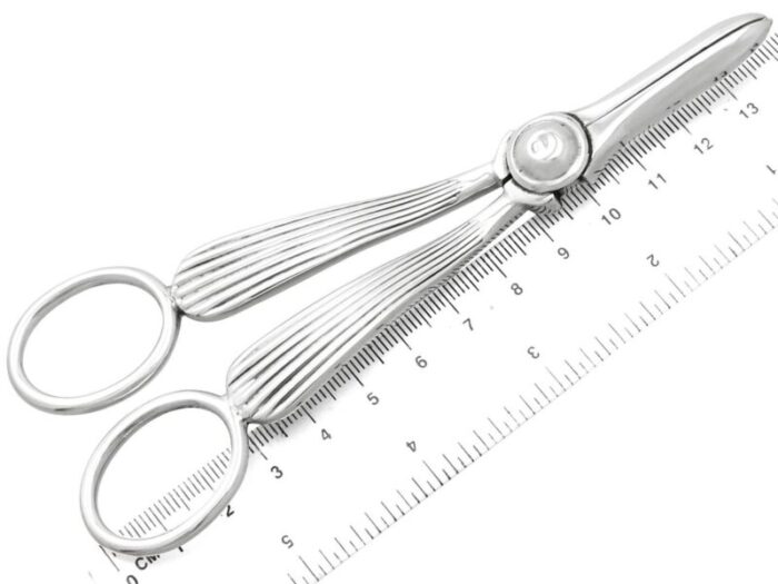 a4565i Grape Shears Sterling Silver master