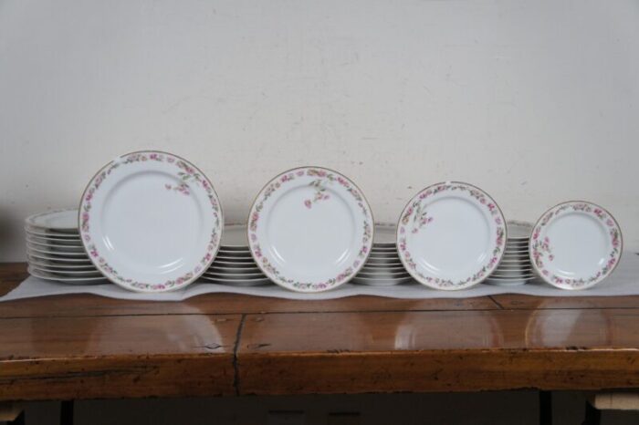 antique haviland and co limoges 106 piece amstel schleiger 497a dinner service china 2025