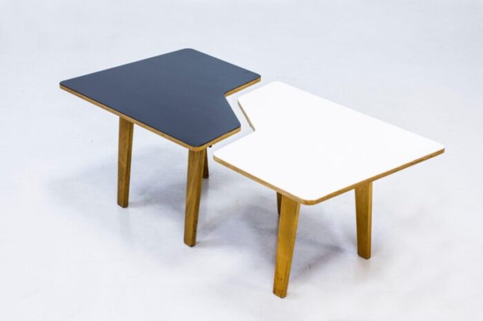 b14 multi table by cees braakman for pastoe 1950s 2