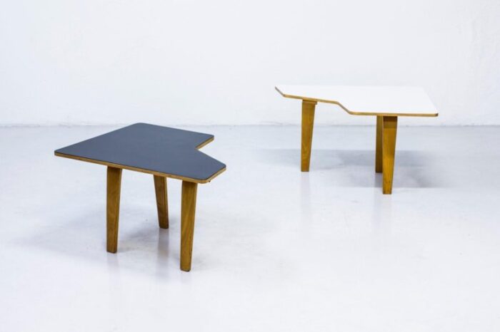 b14 multi table by cees braakman for pastoe 1950s 3