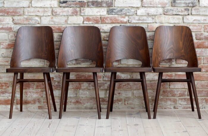 beech veneer dining chairs by oswald haerdtl for ton 1950s set of 4 2