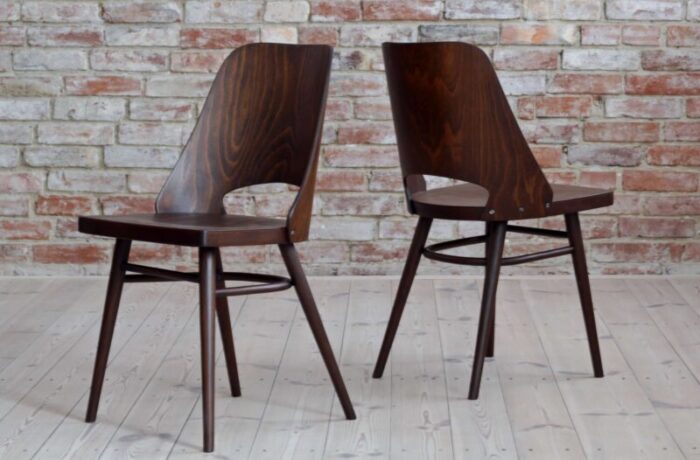 beech veneer dining chairs by oswald haerdtl for ton 1950s set of 4 5