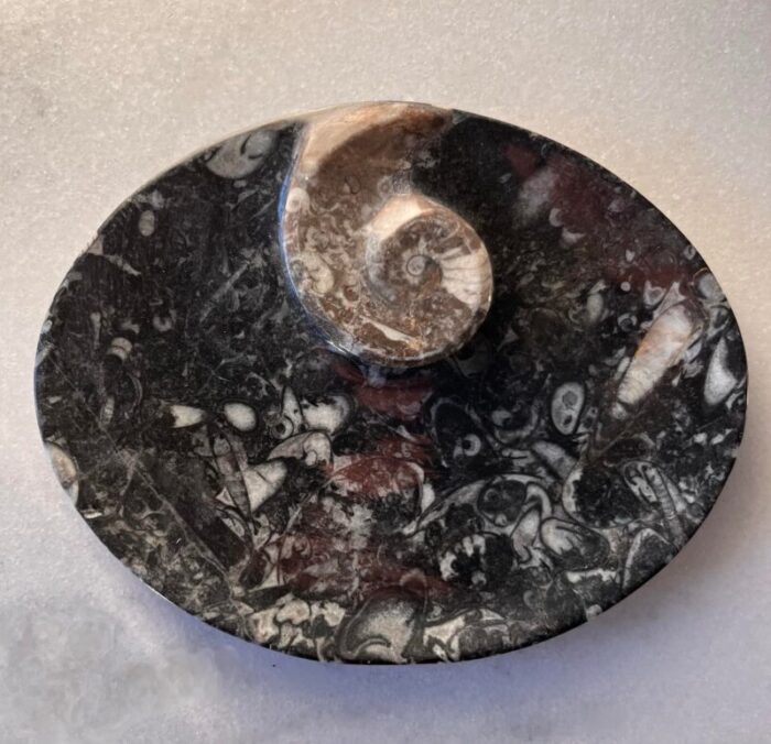 black orthoceras fossil small oval dish with ammonite ring 1216