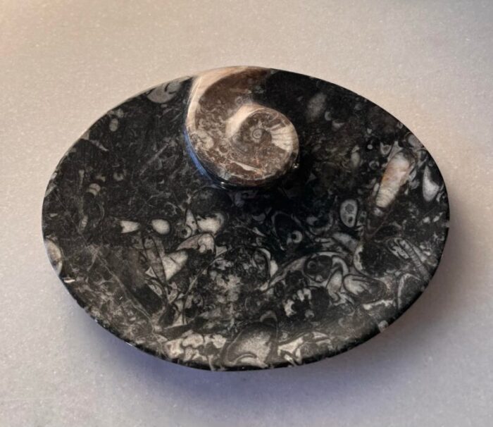 black orthoceras fossil small oval dish with ammonite ring 3778