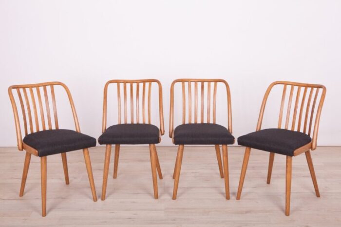 dining chairs by antonin suman for ton 1960s set of 4 1