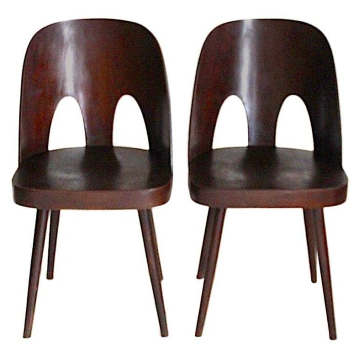 dining chairs by oswald haerdtl 1950s set of 2 1