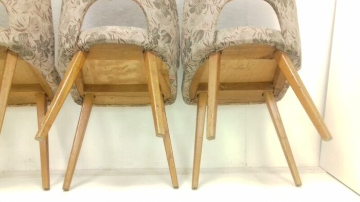 dining chairs by oswald haerdtl 1950s set of 4 4