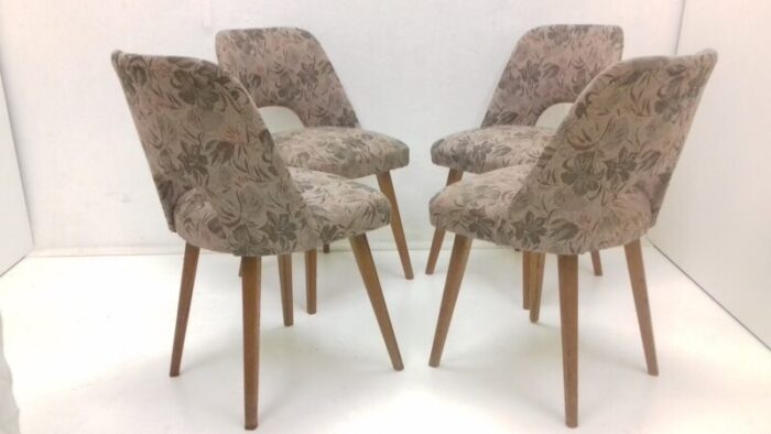 dining chairs by oswald haerdtl 1950s set of 4 8