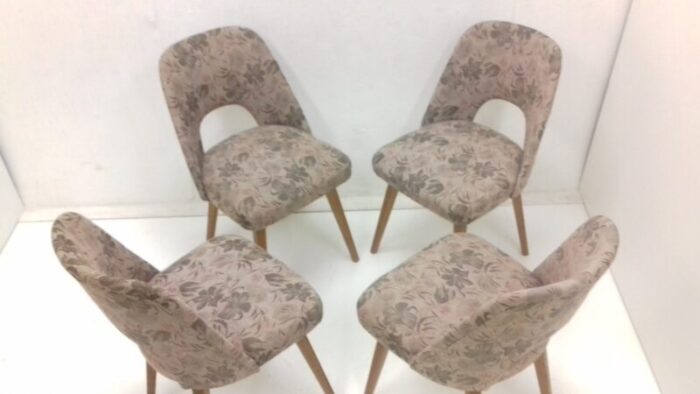 dining chairs by oswald haerdtl 1950s set of 4 9