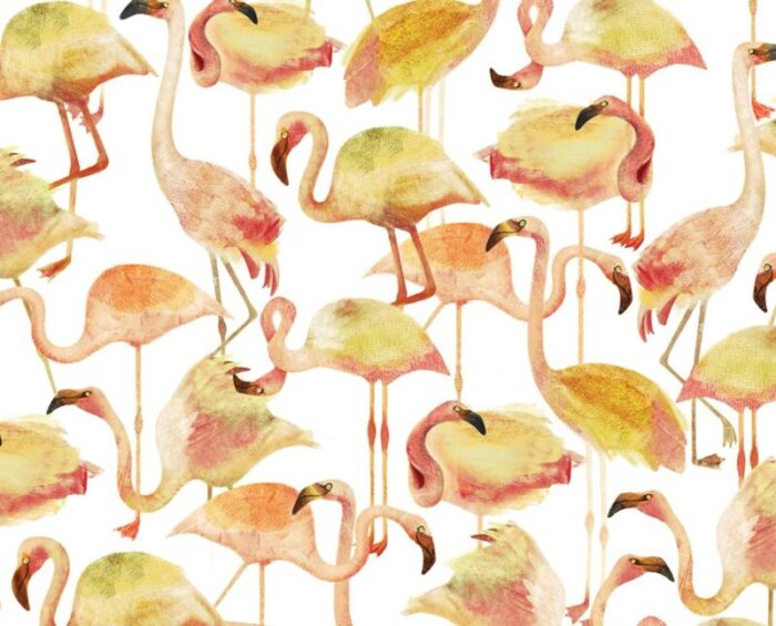 flamingo yello master