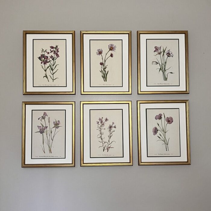 original vintage botanical prints set of 6 framed mid century prints 0935