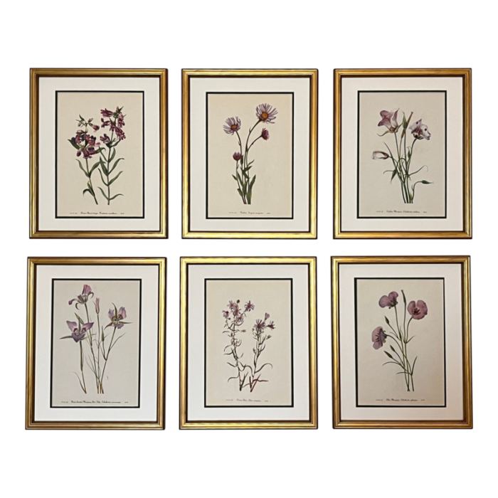 original vintage botanical prints set of 6 framed mid century prints 2205