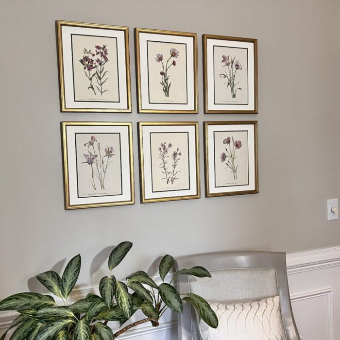 original vintage botanical prints set of 6 framed mid century prints 4660