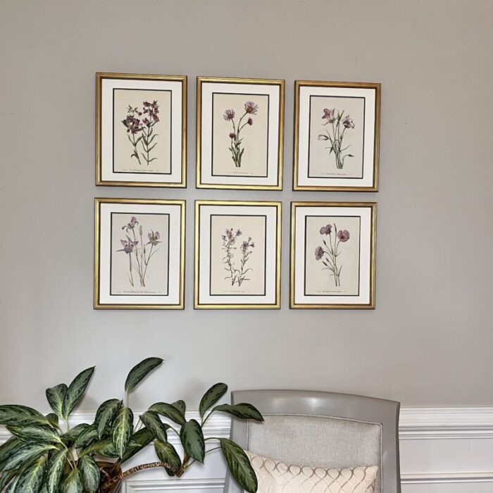 original vintage botanical prints set of 6 framed mid century prints 5092