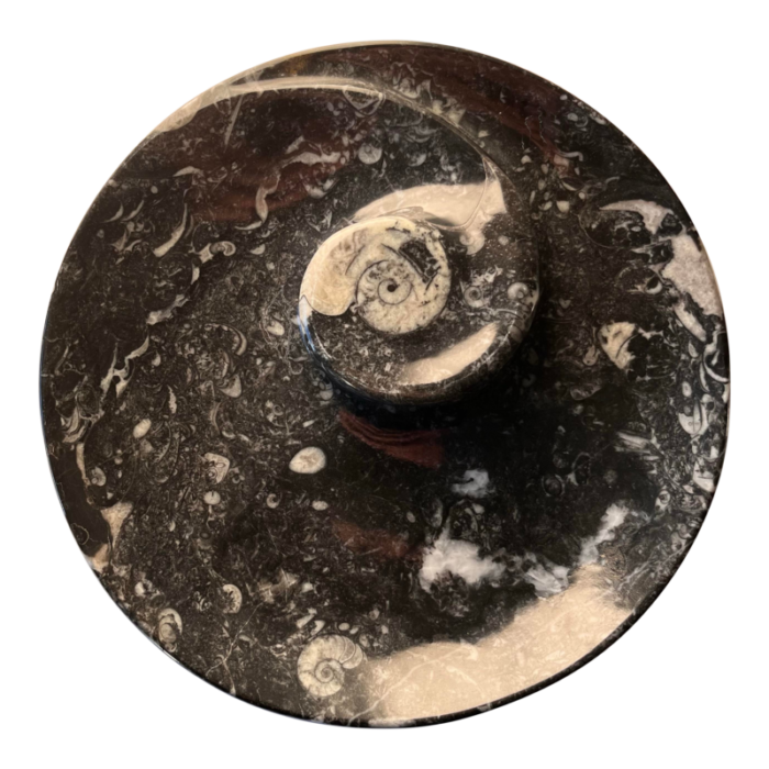 orthoceras fossil round plate with ammonite ring 6639