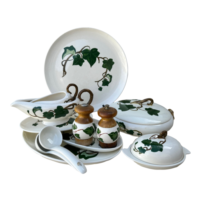 vintage ivy print serving set of 12 5762